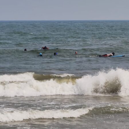 Ocean Swim Recreational L1